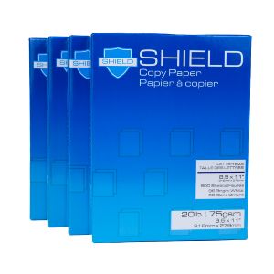 Multi-Use Printer & Copy Paper, 10 Reams, White, Letter (8.5